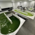 The Power of Algae: Understanding and Harnessing the Benefits of Open Pond Systems