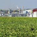 Bio Diesel Production: A Guide to Waste Cooking Oil