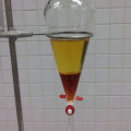 Mixing and Reacting the Ingredients for Bio Diesel Production