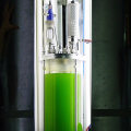 An in-depth look at Closed Photobioreactor Systems for producing bio diesel from algae