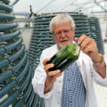 Scale-up Challenges: Navigating the World of Bio Diesel from Algae