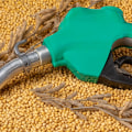 All About Animal Fats: A Comprehensive Guide to Bio Diesel Production and Alternative Sources