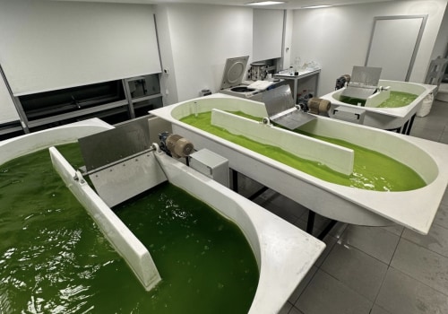 The Power of Algae: Understanding and Harnessing the Benefits of Open Pond Systems