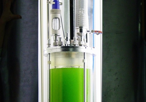 An in-depth look at Closed Photobioreactor Systems for producing bio diesel from algae
