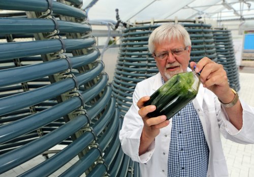 Scale-up Challenges: Navigating the World of Bio Diesel from Algae