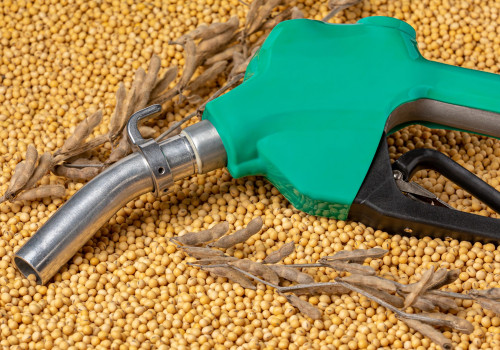 All About Animal Fats: A Comprehensive Guide to Bio Diesel Production and Alternative Sources
